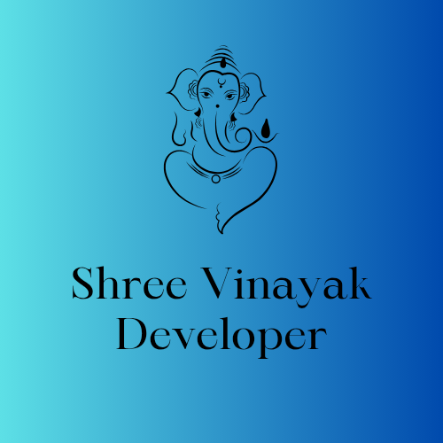 Web developer in India